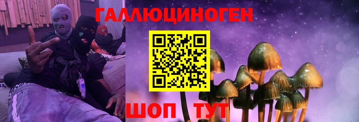 Псилоцибиновые грибы ЛСД Полысаево